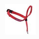 Premier Gentle Leader Head Dog Collar, Red, Medium
