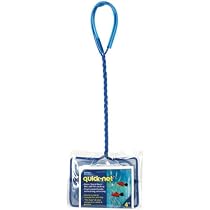 Penn Plax Quick Net Fish Tank Aquarium Wire Mesh Catch Net, 4-Inch
