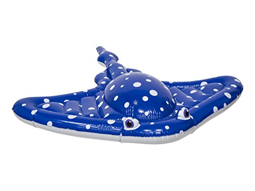 Swimways Disney Finding Dory Mr. Ray Ride-On