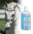 Derma Clean Shampoo - 16 oz