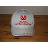 Michael Schumacher Cap 2012