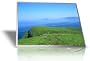 Brand New 15.4" WXGA Matte Laptop LCD Screen For Acer Aspire Series 1690, 2000, 2010