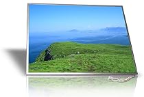 Brand New 15.4" WXGA Glossy Laptop LCD Screen For Sony Vaio Series VGN-NR, VGN-NS, VGN-S