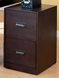 Office Products : Contemporary Wood Grain Finis Letter Size Vertical File Cabinet