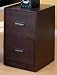 Office Products : Contemporary Wood Grain Finis Letter Size Vertical File Cabinet