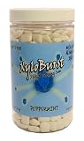 Xyloburst Peppermint Xylitol Chewing Gum 500 Count