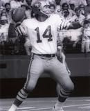 Jim Plunkett San Francisco 49ers 8 X 10 photo A