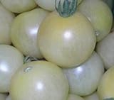 Weiße, süße, sehr saftige Cherry-Tomate - Schneewittchen - Snow white - 10 Samen
