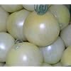 Wei�e, s��e, sehr saftige Cherry-Tomate - Schneewittchen - Snow white - 20 Samen