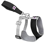 SMALL - BLACK/GRAY - Doggles Comfort Harness