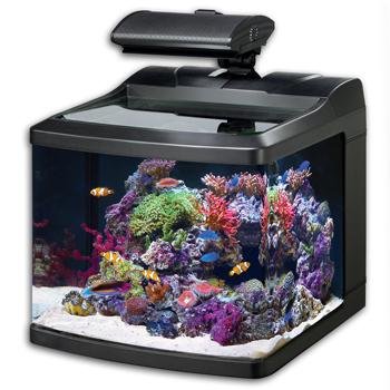 Oceanic 36015 BioCube HQI Aquarium, 29-Gallon Oceanic 36015 BioCube HQI Aquarium, 29-Gallon