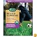 Scotts Lawns #18785 5LB Premium Tall Fesc Seed