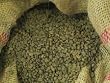 Colombian Premium Supremo Green Coffee Bean 5 Lb.