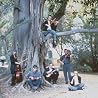 Image de The Penguin Cafe Orchestra