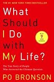 What Should I Do with My Life?: The True Story of People Who Answered the Ultimate Question (Paperback)