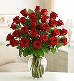 One Dozen Red Roses