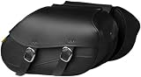 Willie & Max 3443 Revolution Series Small Swooped Throw Over Saddlebag Set