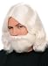Biblical Wig And Beard White Adult