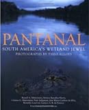 Pantanal: South America's Wetland Jewel