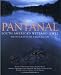 Pantanal: South America's Wetland Jewel