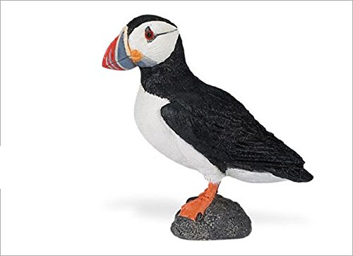 Safari Ltd Wings of the World - Atlantic Puffin - Realistic Hand Painted Toy Figurine Model - Quality Construction from Safe and BPA Free Materials - For Ages 3 and Up