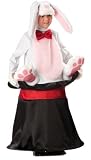 Kids Super Deluxe Bunny In Hat Costume