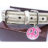 COACH Mini Signature Collar with Gold Trim Leather Collar with Engraveable Peace Charm 60339 Limited Edition - Medium (13.5"-16.5")