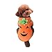 Mogoko Dog Cat Halloween Pumpkin Costume,Pet Cosplay Costumes,Puupy Warm Outfits Fleece Hoodie Animal Autumn Winter Clothes (L Size)