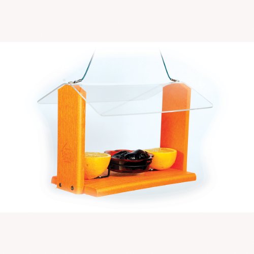 Woodlink NAGGO1 Audubon Going Bluebird Feeder