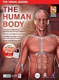 Human Body