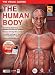 Human Body