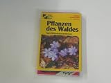 Produkt-Bild: Pflanzen des Waldes : nach Bl&uuml;tenfarben bestimmen.
