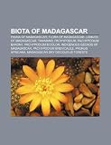 Biota of Madagascar: Fauna of Madagascar, Flora of Madagascar, Lemurs of Madagascar, Tamarind, Pachypodium, Pachypodium baronii