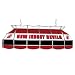 NHL New Jersey Devils Stained Glass 40-inch Lighting Fixture