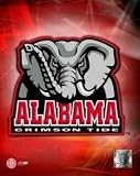 Alabama Crimson Tide NCAA 8x10 Photograph Team Logo