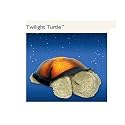 Twilight Turtle - Constellation Night Light with Small Plush Turtle