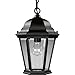 Progress Lighting P5582-31 Cast Hanging Lantern with Clear, Beveled Glass, Textured Black