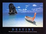 Destiny Fine Art Print / Poster 20.00 x 16.00 in.