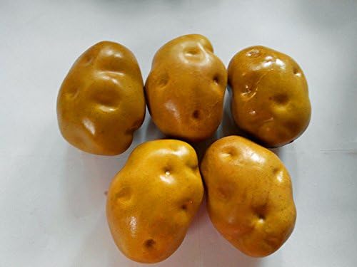 5pcs ZYBF Artificial Fake Brown Potato