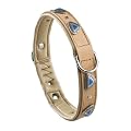 Ferplast 76101051 Lederhalsband f�r Hunde, Giotto BK C 20/39, Breite: 20 mm, L: 35-39 cm, beige mit Applicationen