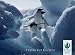 Penguins Assorted Boxed Holiday Christmas Cards, 20 Cards in 4 Different Styles
