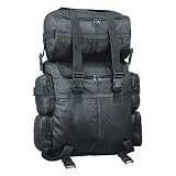 Large Deluxe Buffalo Leather Sissy Bar Bag System