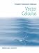 Vector Calculus, Student Solutions Manual Vector Calculus, Student Solutions Manual
