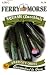 Ferry-Morse Seeds 1368 Squash - Black Beauty (Zucchini) 4.5 Gram Packet