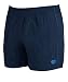 Arena Herren Badeshort Bywayx