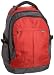 Rick Steves Autobahn Laptop Backpack