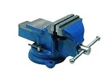 41hlGFPHYeL. SL160  Schraubstock mit Amboss 100 mm drehbar