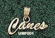 Miami Hurricanes Charm/Pendant