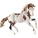 Search : Breyer Isadora-Cruce
