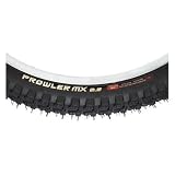 WTB Raijin Mountain Bike Tire